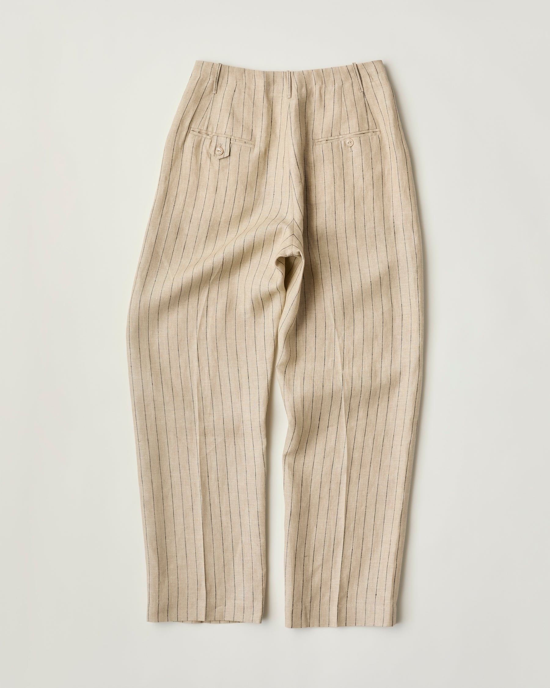 Pleated Trousers