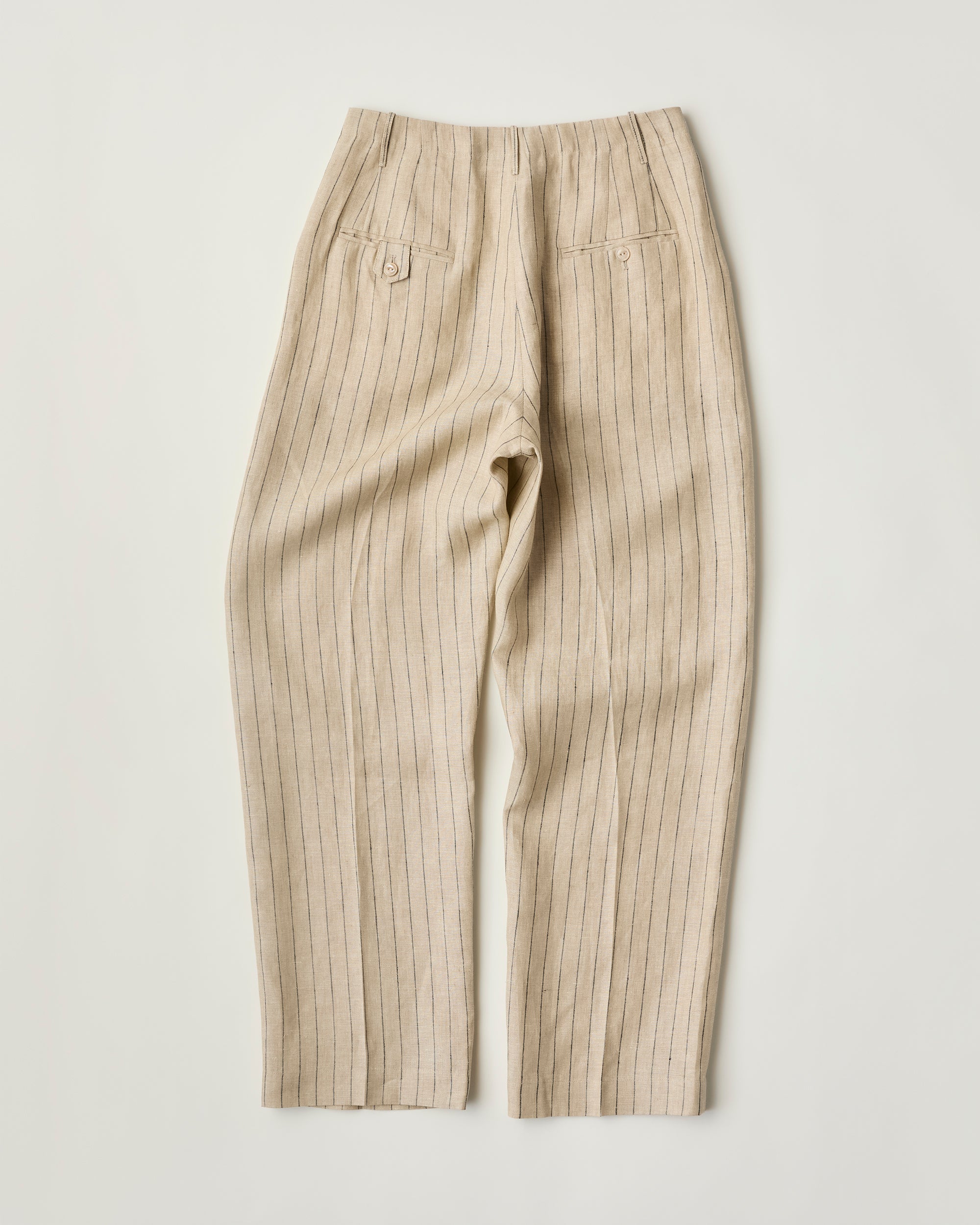 Pleated Trousers