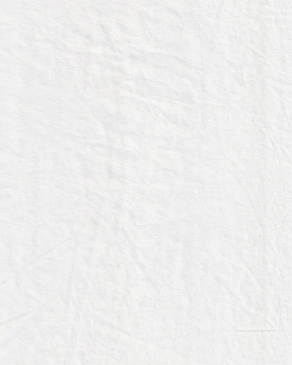 Japanese Cotton-Linen Shirting